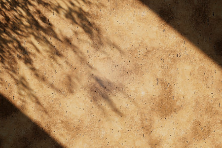 Natural stone wall texture with plant shadow flat lay. Top view of tropical summer background with leaf shade pattern.の写真素材