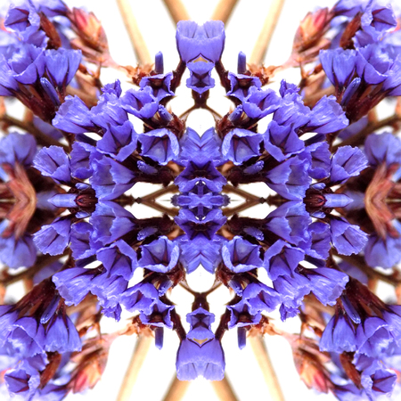 Abstract flowers seamless pattern background. Kaleidoscope from flowers. Hydraulic tile design.の写真素材