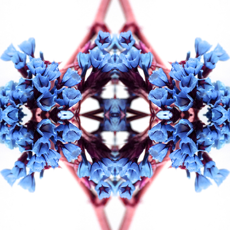 Abstract flowers seamless pattern background. Kaleidoscope from flowers. Hydraulic tile design.の写真素材