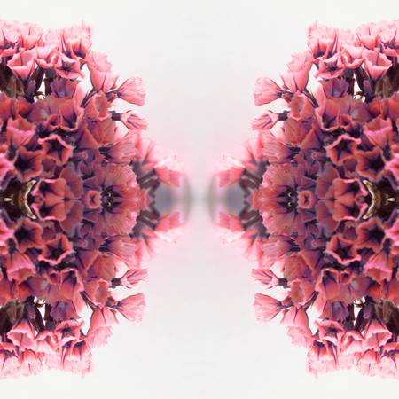 Abstract flowers seamless pattern background. Kaleidoscope from flowers. Hydraulic tile design.の写真素材