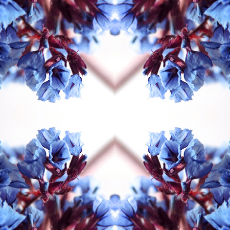 Abstract flowers seamless pattern background. Kaleidoscope from flowers. Hydraulic tile design.の写真素材