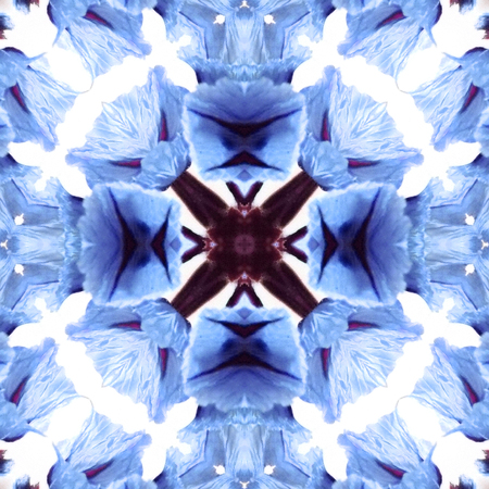 Abstract flowers seamless pattern background. Kaleidoscope from flowers. Hydraulic tile design.の写真素材