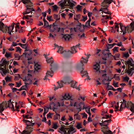 Abstract flowers seamless pattern background. Kaleidoscope from flowers. Hydraulic tile design.の写真素材