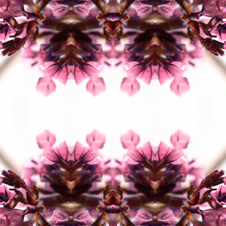 Abstract flowers seamless pattern background. Kaleidoscope from flowers. Hydraulic tile design.の写真素材