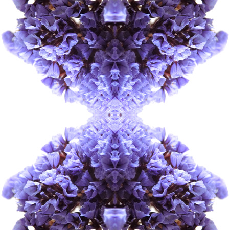 Abstract flowers seamless pattern background. Kaleidoscope from flowers. Hydraulic tile design.