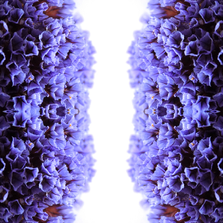 Abstract flowers seamless pattern background. Kaleidoscope from flowers. Hydraulic tile design.