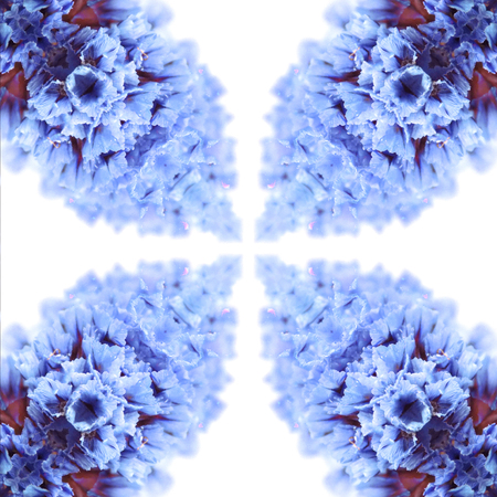 Abstract flowers seamless pattern background. Kaleidoscope from flowers. Hydraulic tile design.の写真素材