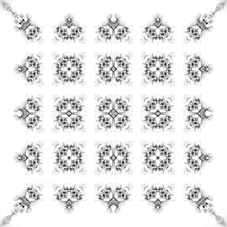 Abstract seamless pattern. Black and White background. Kaleidoscope from flowers. Hydraulic tile...