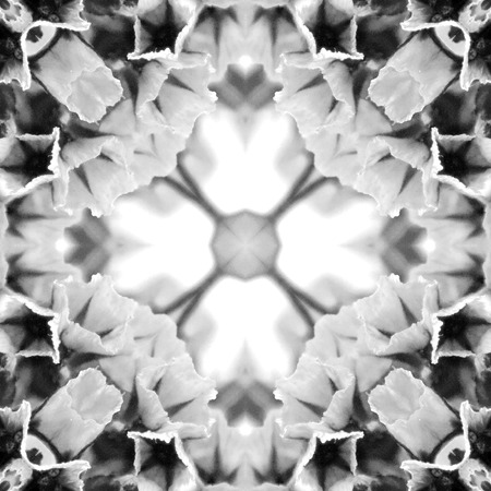 Abstract seamless pattern. Black and White background. Kaleidoscope from flowers. Hydraulic tile design.の写真素材