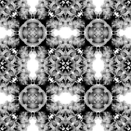 Abstract seamless pattern. Black and White background. Kaleidoscope from flowers. Hydraulic tile design.の写真素材