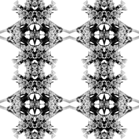 Abstract seamless pattern. Black and White background. Kaleidoscope from flowers. Hydraulic tile...