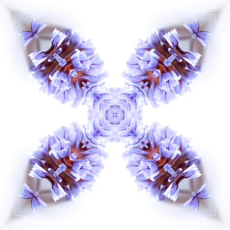 Abstract flowers seamless pattern background. Kaleidoscope from flowers. Hydraulic tile design.の写真素材