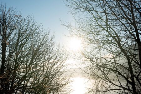 Looking through bare autumnal branches in silhouette to idyllic, bright sun reflected in lake with mist,fog and mountains behind in the horizon an early fresh morning at sunrise in the countrysideの写真素材