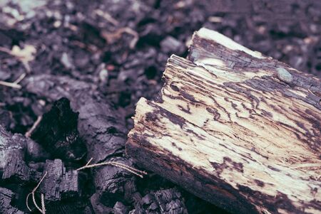 Closeup detail of tree log firewood on burnt hot charcoal remains from a outdoors summer barbecue campfire in the wilderness, with copyspaceの写真素材