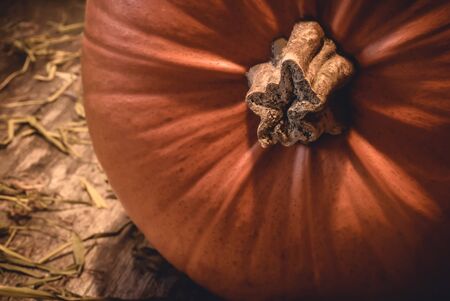 Closeup of big orange seasonal autumn pumpkin with stem on rural natural wood and hay in the countryside - Concept of traditional halloween celebration or decorative thanksgiving food.の写真素材