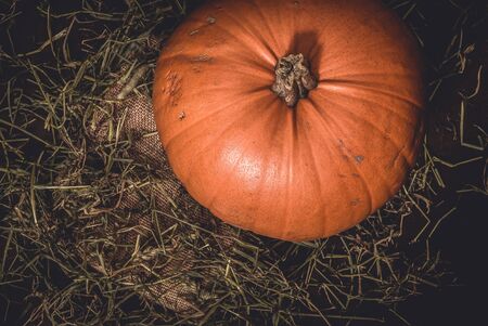 Top view of rustic, large orange pumpkin from homegrown organic harvest on dark wood background with hay in the countryside - Concept of thanksgiving celebration or halloween decoration.の写真素材
