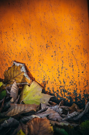 Closeup detail of many fallen dried seasonal decorative autumn leaves on the ground outside in various different natural colors against a rustic vibrant saturated orange wall in warm sunlight, with copy-space.の写真素材