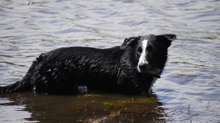 Patienceの写真素材