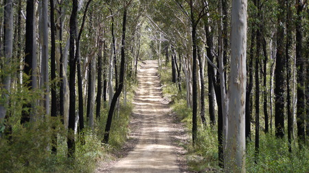 The Long Road to Recoveryの写真素材