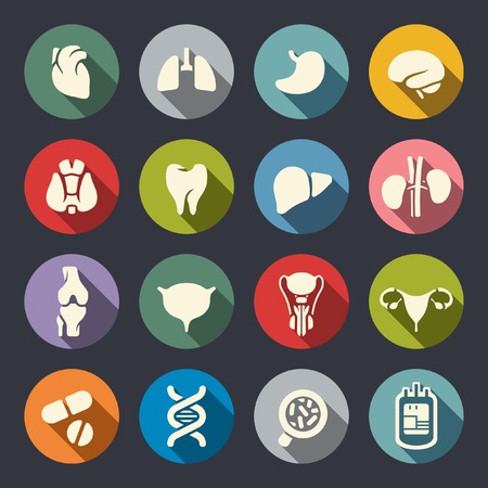 Human organs icon set のイラスト素材