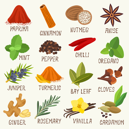 Spices vector illustrationのイラスト素材