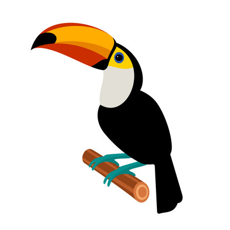 Toucan tropical bird. Flat style vector illustration.のイラスト素材