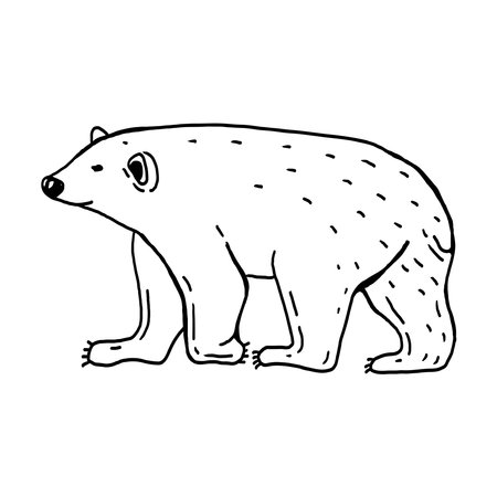 Polar bear hand drawn vector illustration setのイラスト素材