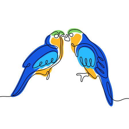 Lovebirds parrots one line vector illustrationのイラスト素材
