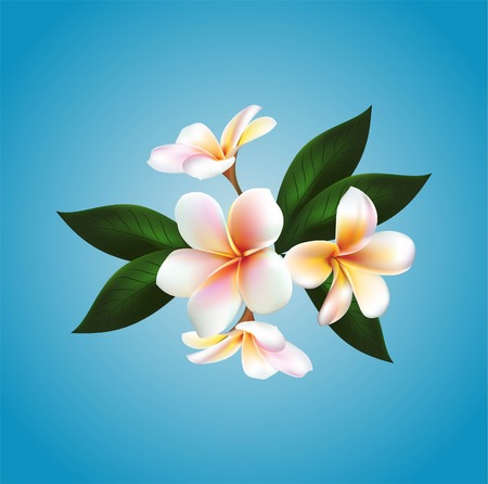 Vector floating flowerのイラスト素材
