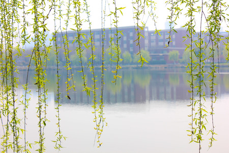 Campus lake