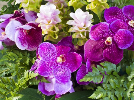 tropical flowers bouquet arranged for decorationの写真素材