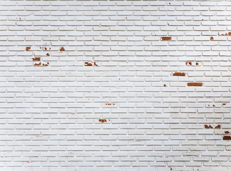 white brick wall texture background