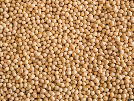 soil beens texture background