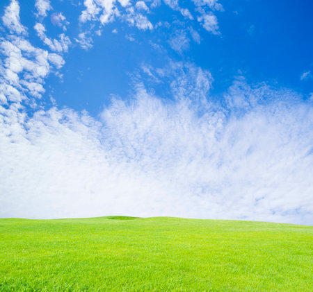 green grass field on blue sky backgroundの写真素材