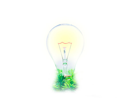 incandescence light bulb on white 