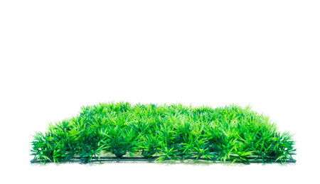 artificial green grass isolated on whiteの写真素材