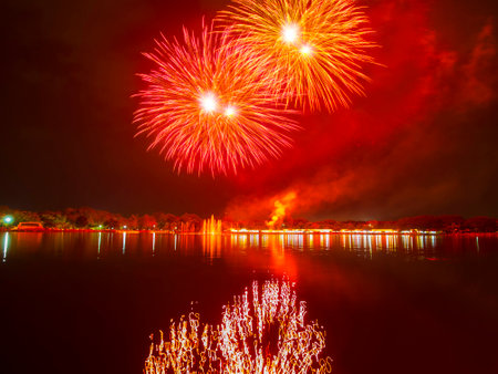 colorful holiday fireworks in the night sky, in celebration event.の写真素材