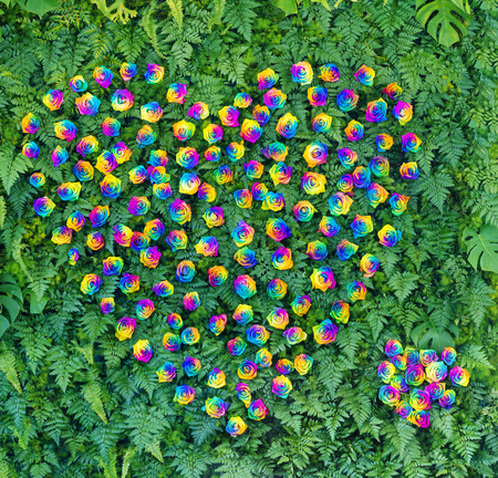 real rose flowers arranging in heart shape on vertical wallの写真素材