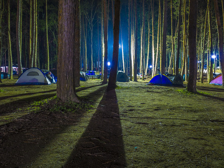 recreational camping tents with silhouetted of the alpine trees on natural forrest after dark nightの写真素材