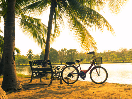 bicycle on the grass with sun set background, vintage styleの写真素材