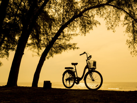 bicycle silhouette on a sunset. Summer landscape on tropical sea beachの写真素材