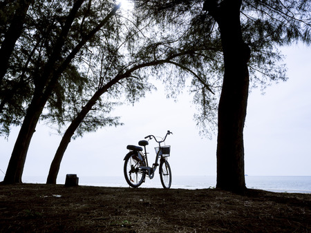 bicycle silhouette on a sunset. Summer landscape on tropical sea beachの写真素材