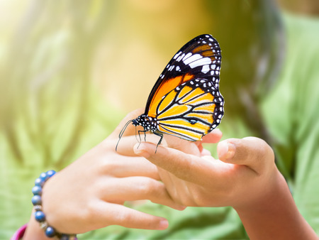butterfly hanging on girl's finger, outdoor in natureの写真素材
