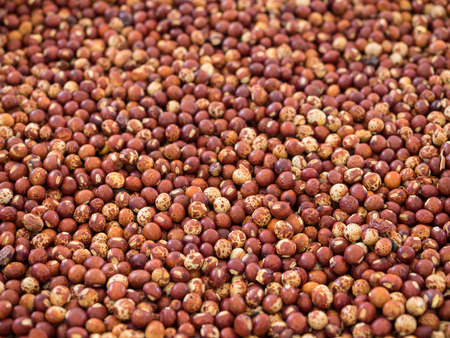 selective focus on dried wild peas or beans,  nutritional crop, as animal fodder and to enrich soilの写真素材