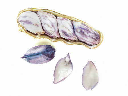 macro shot on peanut shell on white background, stacking focus