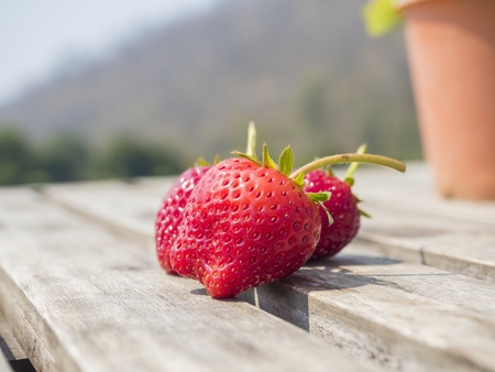 red strawberries on wooden floor on the outdoor fieldの写真素材