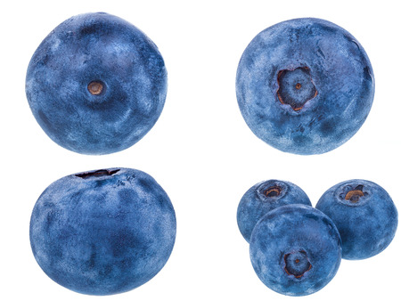 ripe blueberry isolated on white background, stacking focus added, object are all in focusの写真素材
