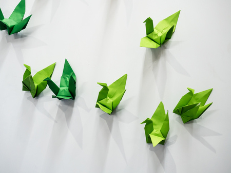 paper folding in crane bird, homemade art craft on white backgroundの写真素材