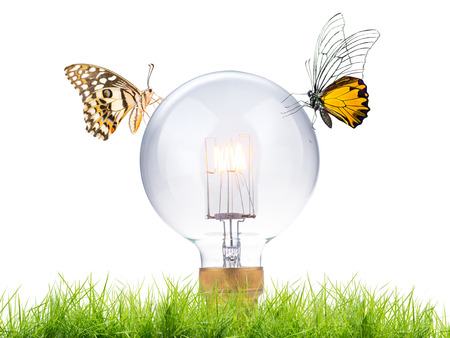 high power edison light bulb on green nature with butterfly , go green conceptの写真素材
