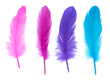 soft fluffy bird feather isolated on white backgroundの写真素材